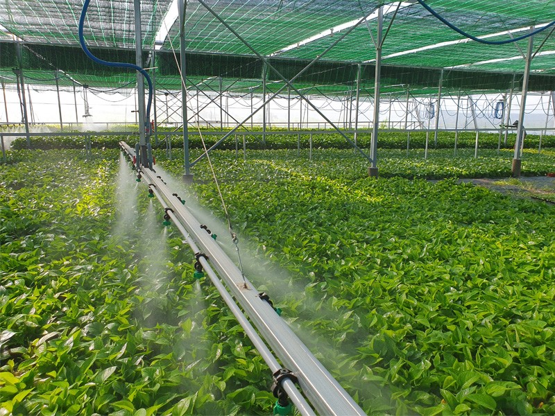 TRANG TRẠI GREENSTARFARM